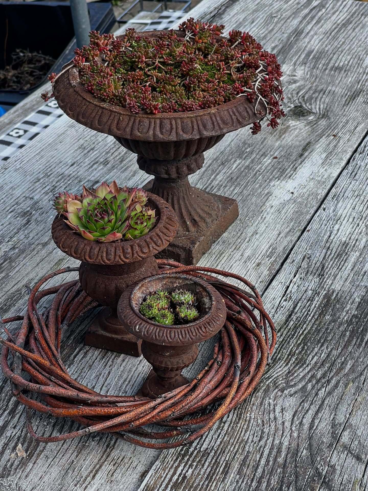 Innovative Garden Design Ideas to Transform Your Outdoor Space 5