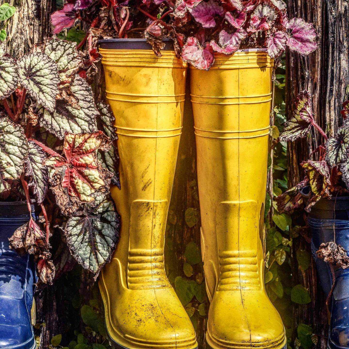 Transform Your Outdoor Space: Innovative Repurposed Garden Ideas 5