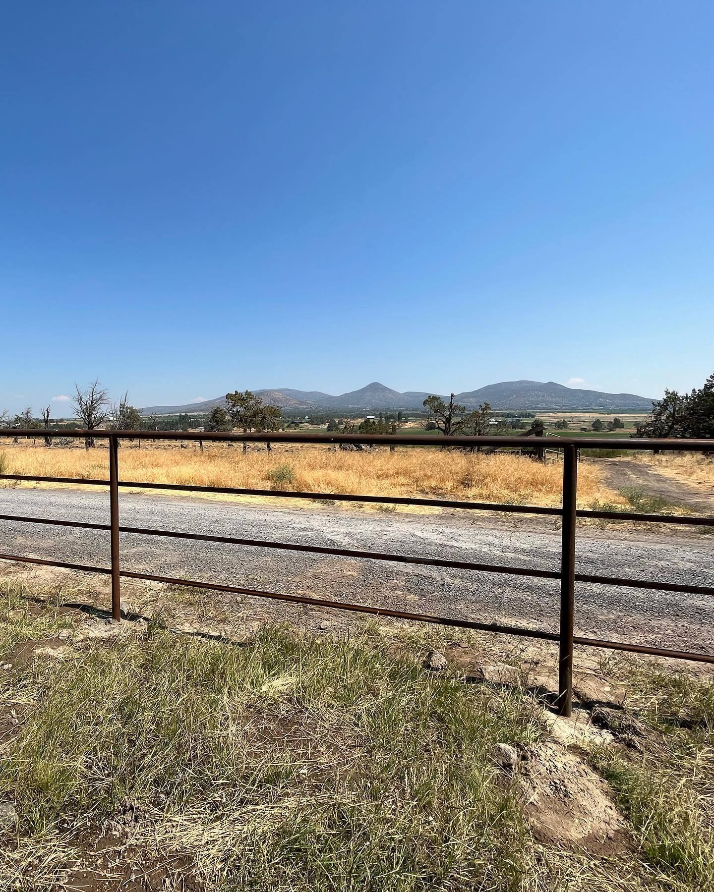 Creative Pipe Fence Ideas to Elevate Your Property’s Curb Appeal 6