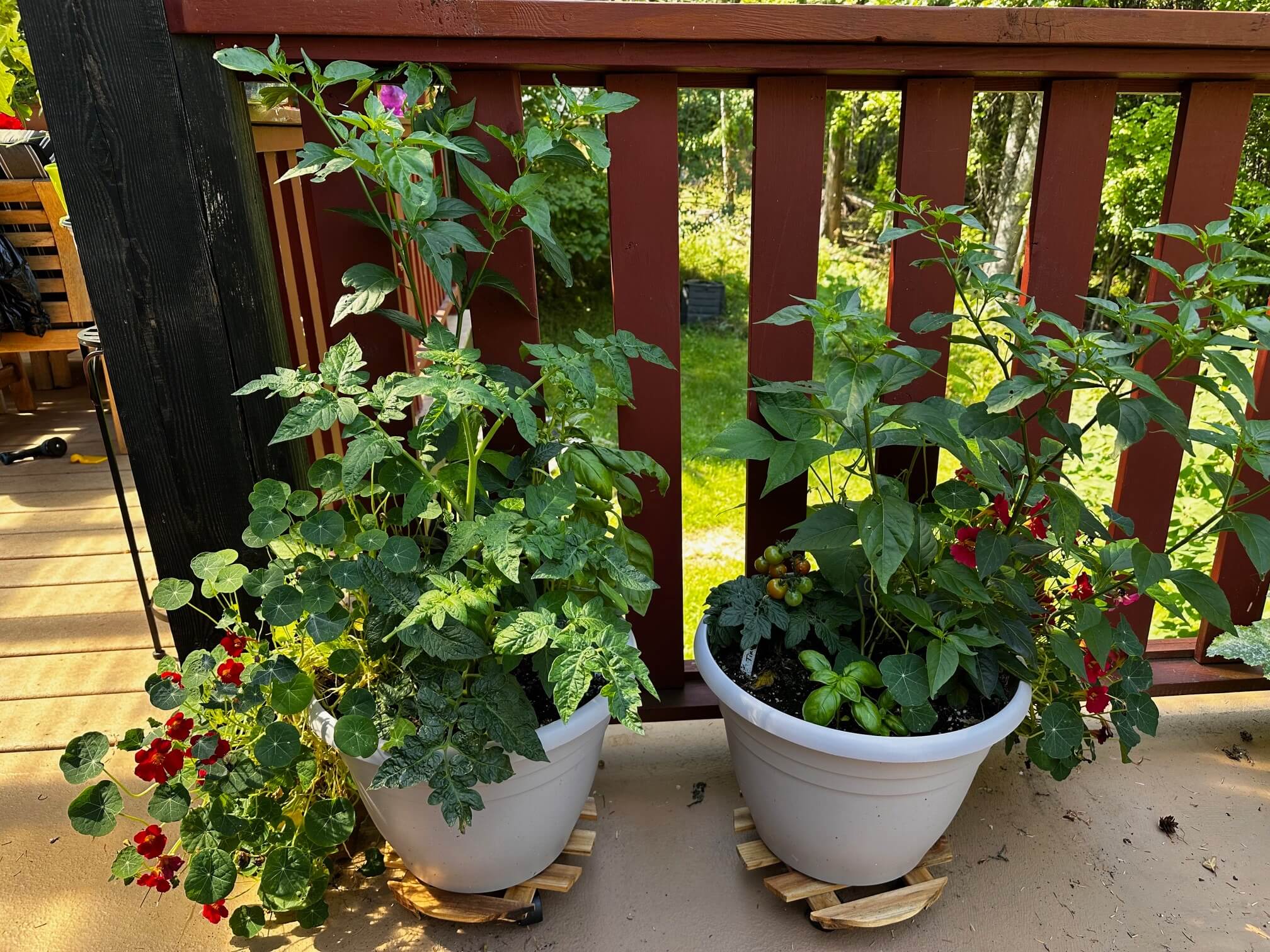 Transform Your Green Space: Creative Container Garden Ideas to Revitalize Any Area 6