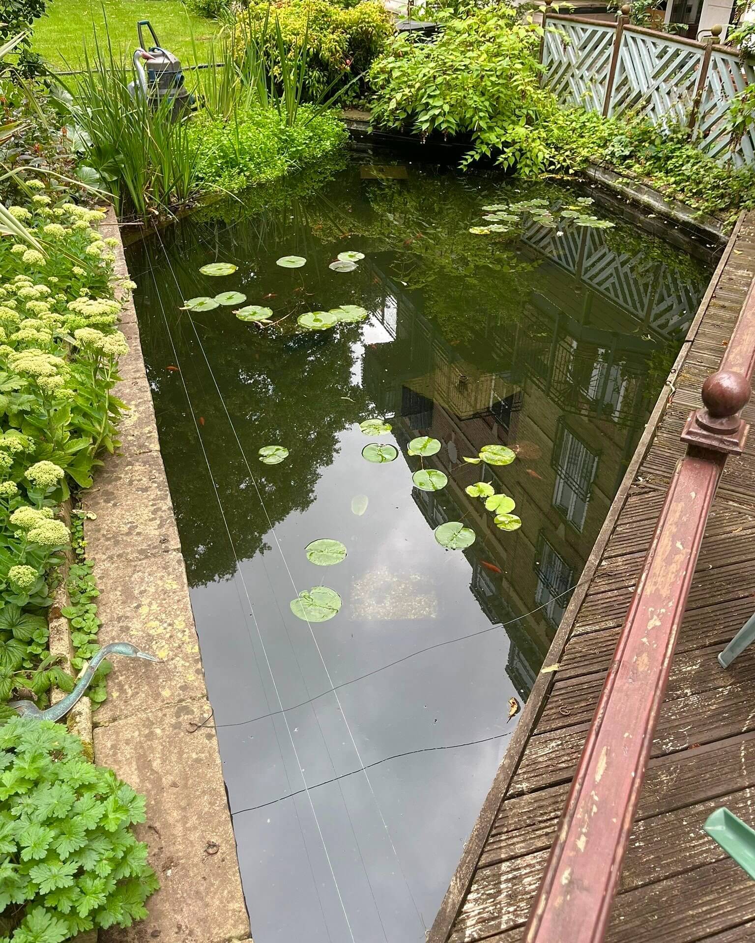 Transform Your Outdoor Space: Creative Backyard Pond Ideas to Inspire You 6