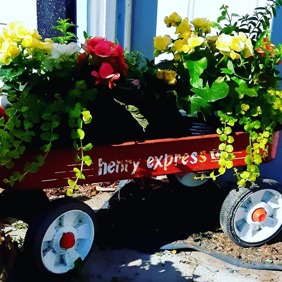 Transform Your Outdoor Space: Innovative Repurposed Garden Ideas 6