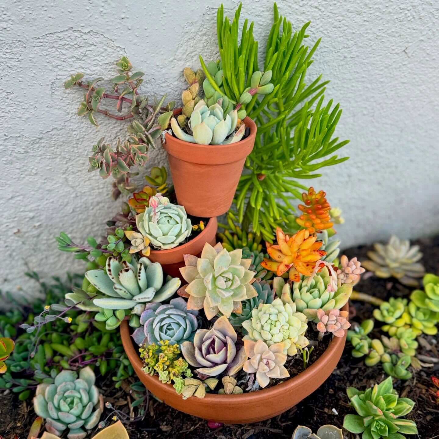 Innovative Garden Design Ideas to Transform Your Outdoor Space 6