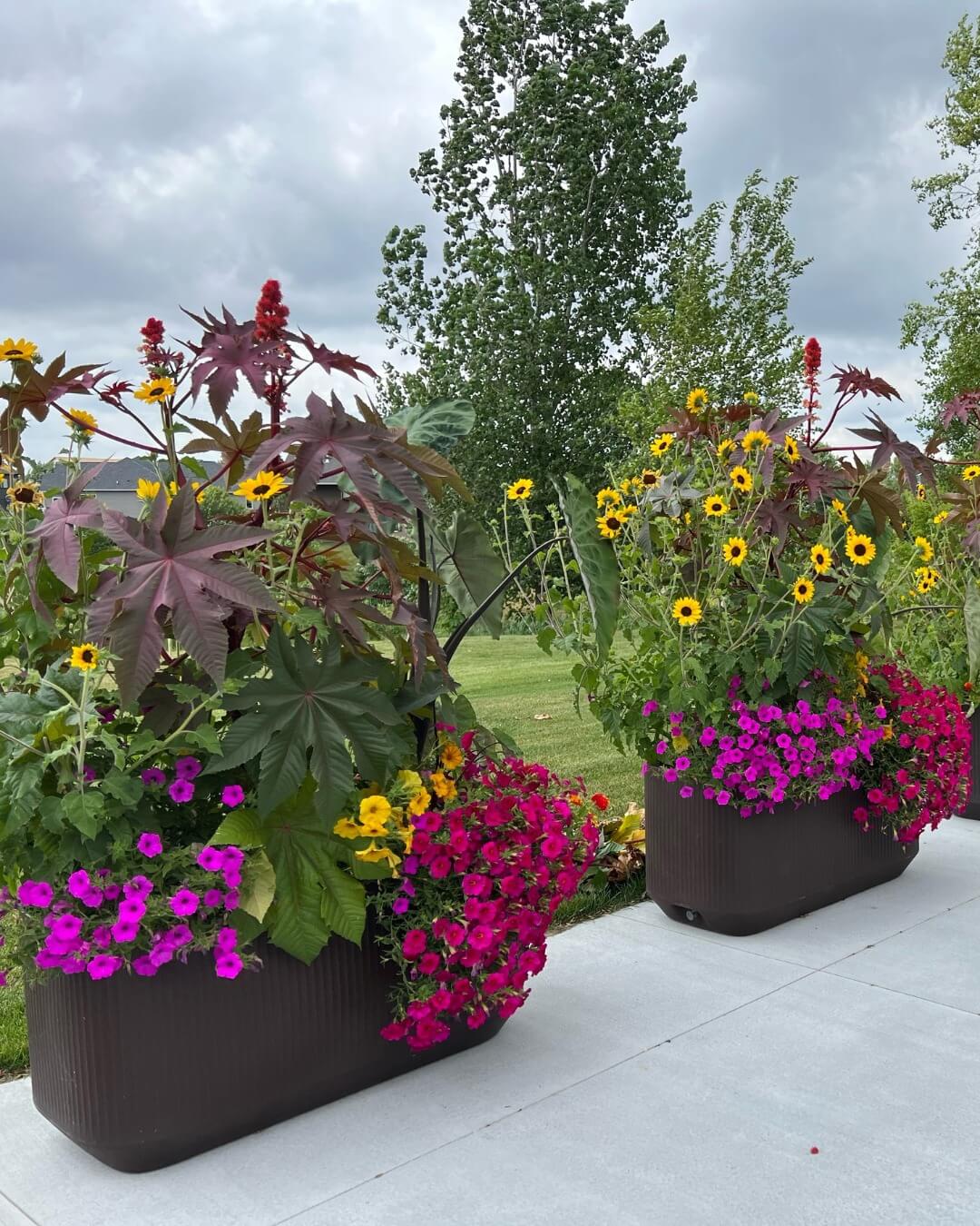 Transform Your Green Space: Creative Container Garden Ideas to Revitalize Any Area 7