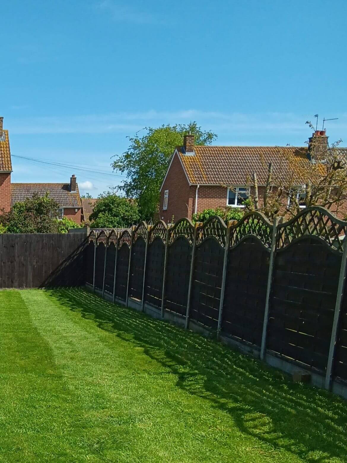 Transform Your Garden Oasis: 10 Innovative Fence Trellis Ideas 7