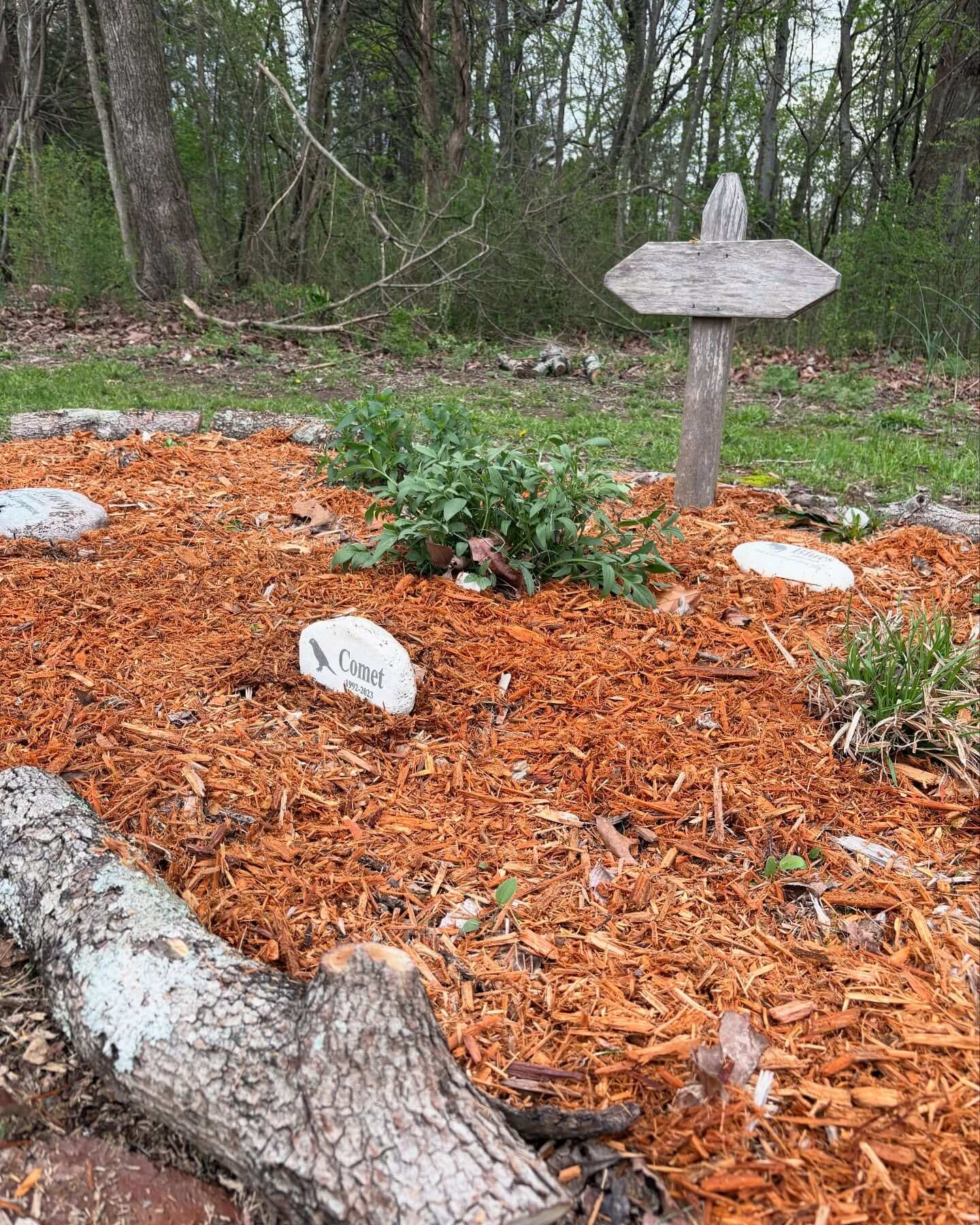 Unique Memorial Garden Ideas to Create a Serene Tribute 8