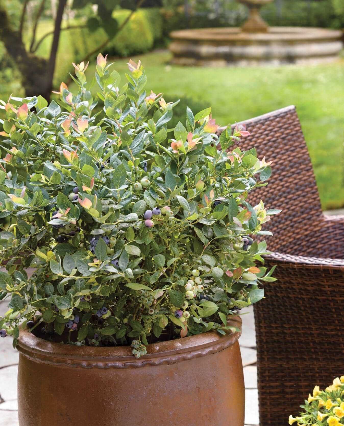 Transform Your Green Space: Creative Container Garden Ideas to Revitalize Any Area 8