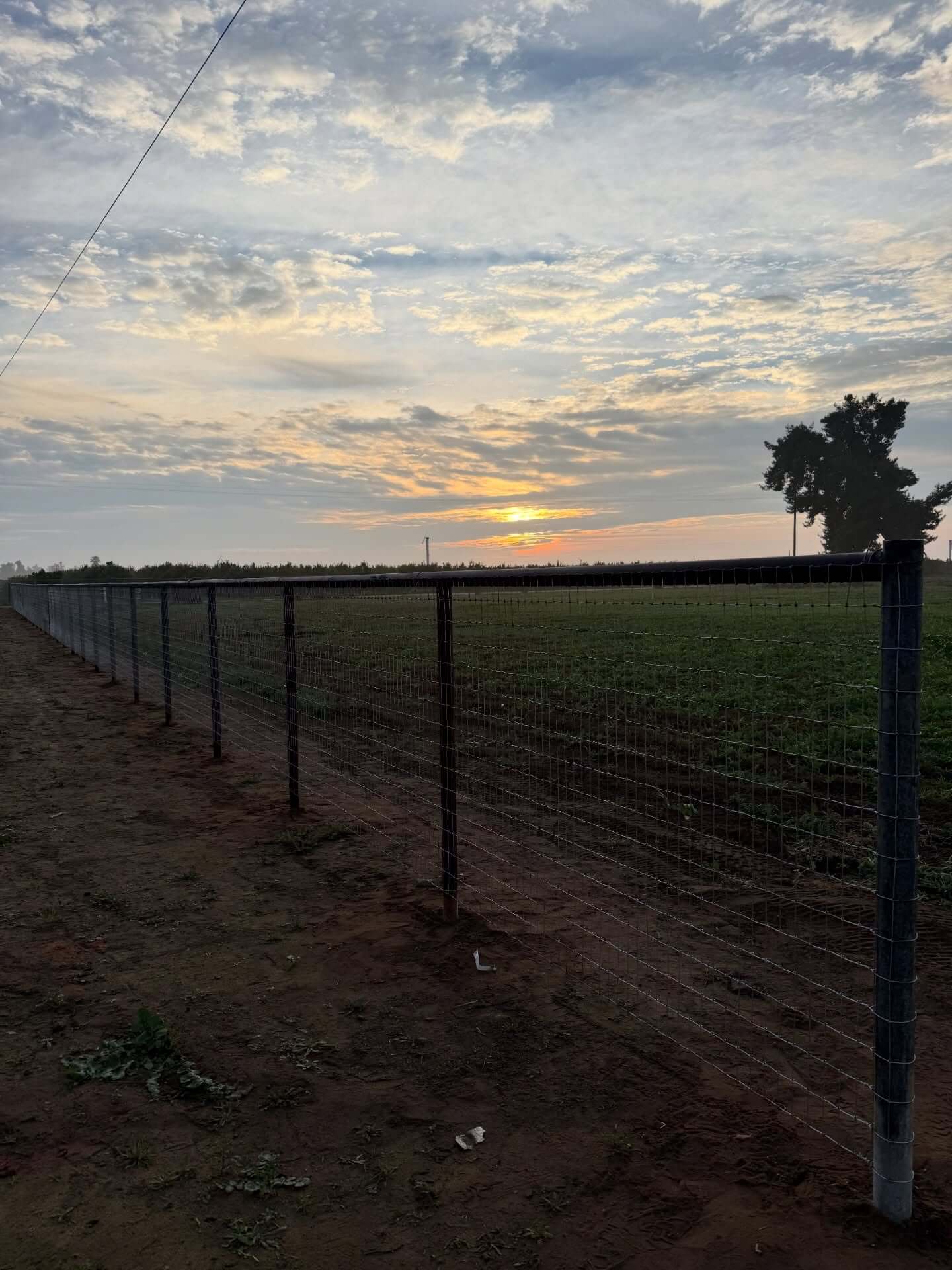 Creative Pipe Fence Ideas to Elevate Your Property’s Curb Appeal 8