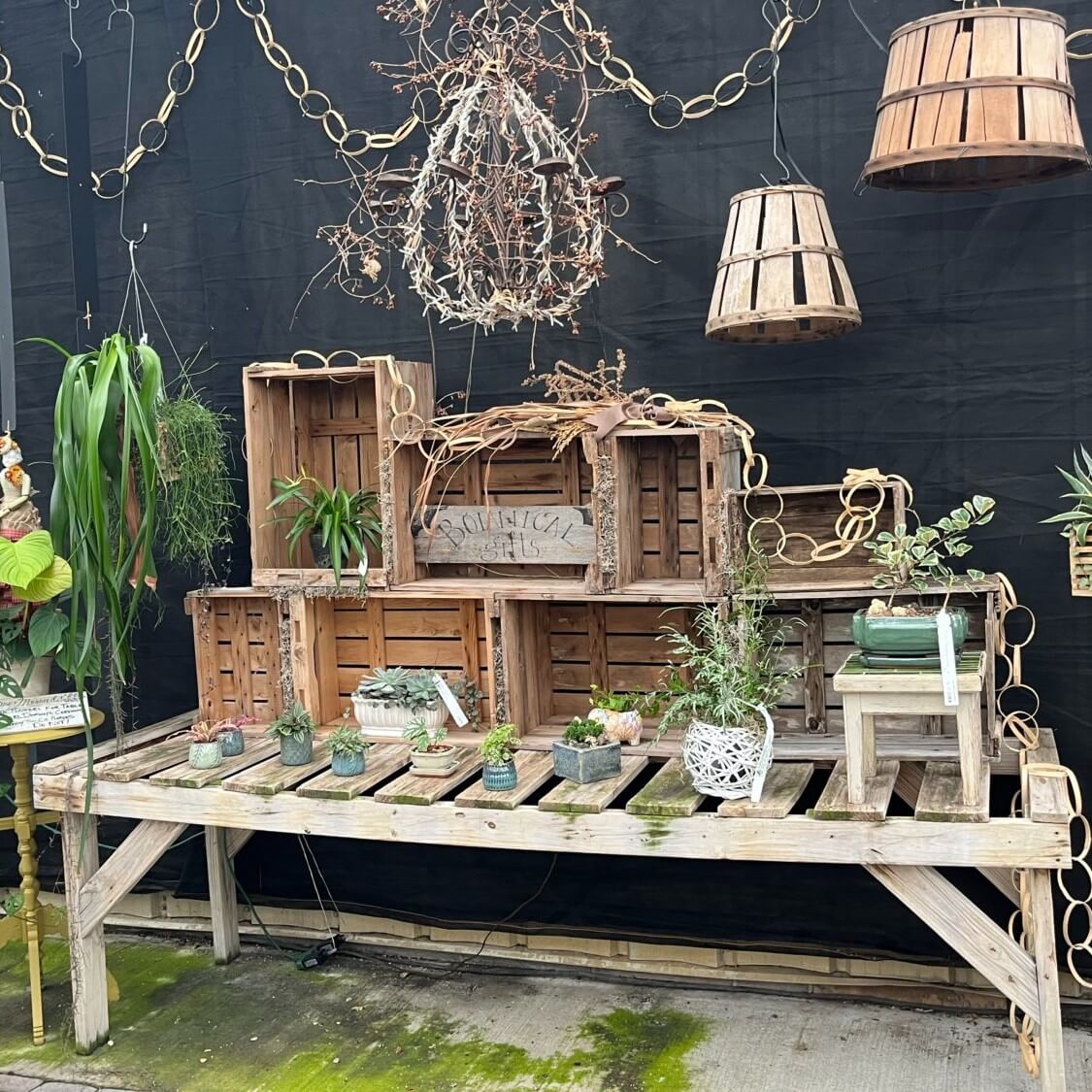 Transform Your Outdoor Space: Innovative Repurposed Garden Ideas 9