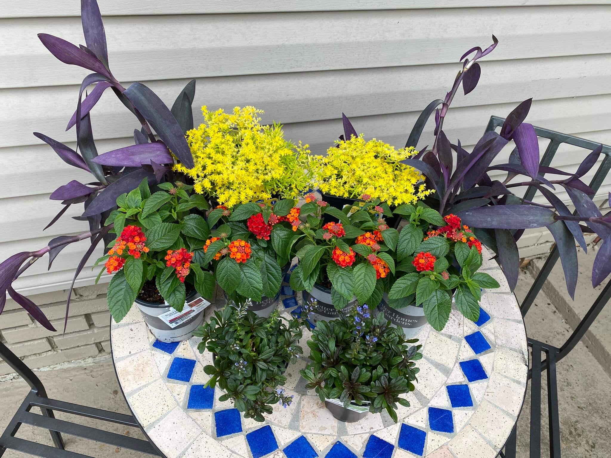Blooms and Curb Appeal: Transform Your Home with These Front of House Flower Bed Ideas 9