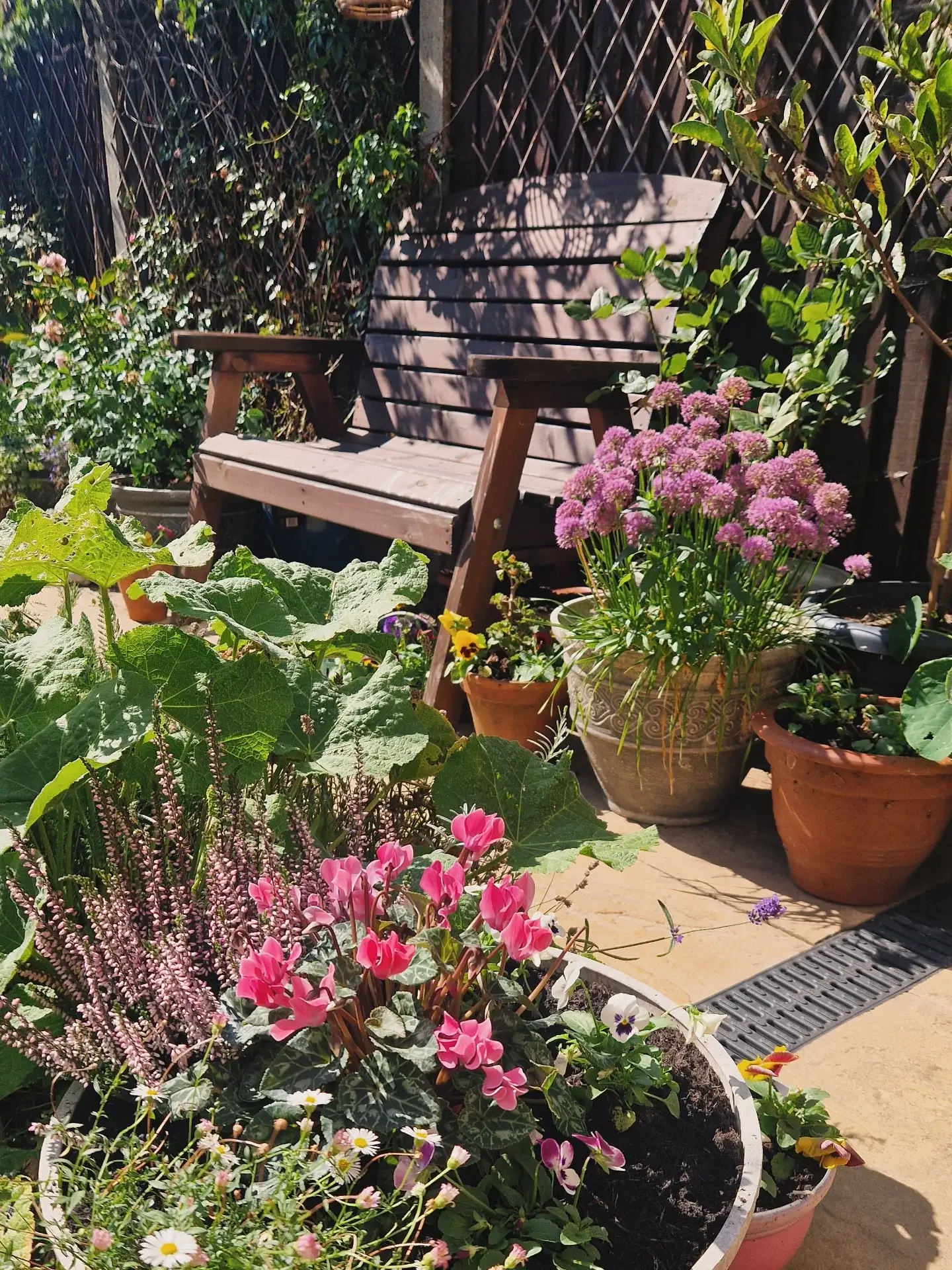 Transform Your Green Space: Creative Container Garden Ideas to Revitalize Any Area 9