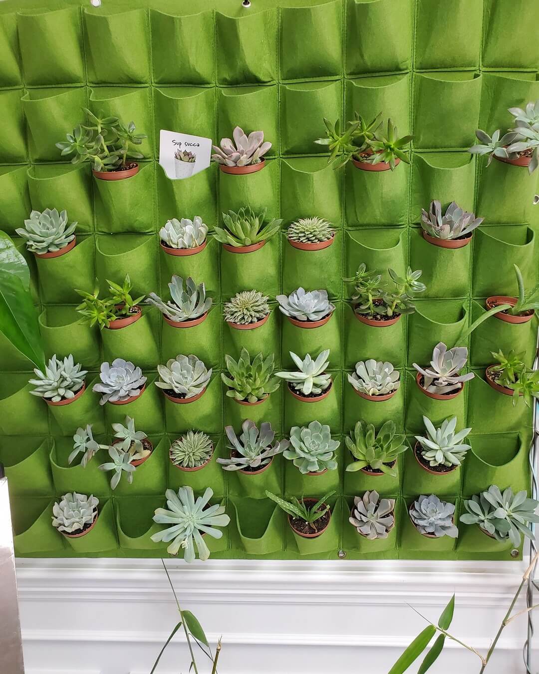 Transform Your Garden with These Creative Vertical Pocket Planter Ideas 9